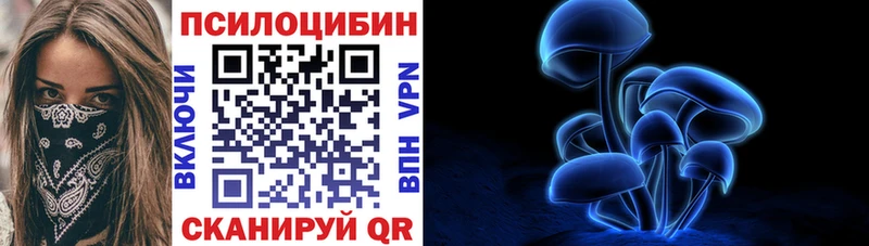 Псилоцибиновые грибы прущие грибы  Приволжский 