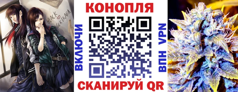 Конопля план  Приволжский 